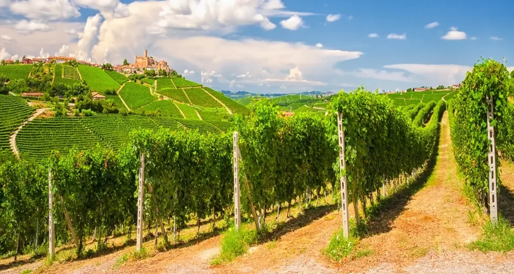tour ebike langhe del barolo sud