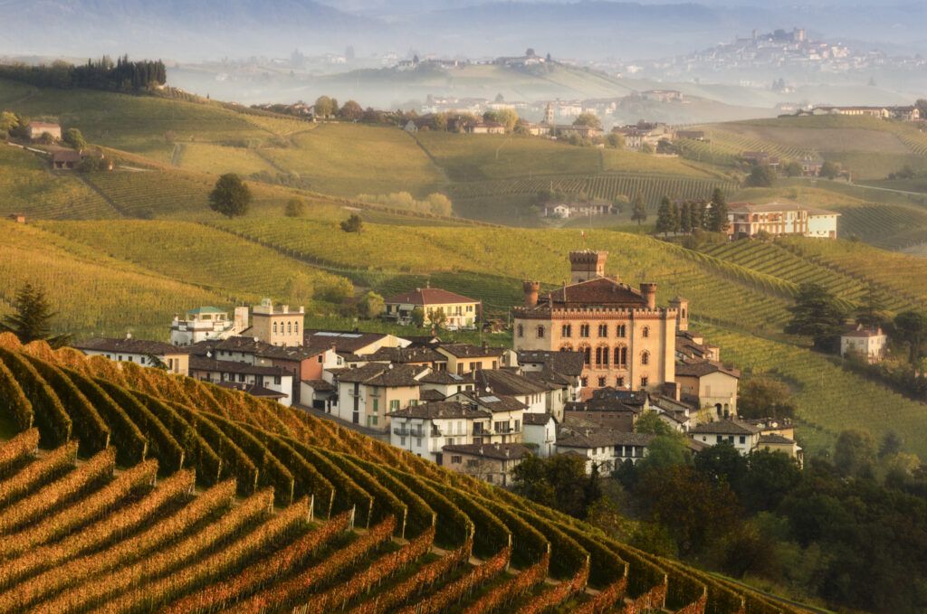 tour ebike in langa del barolo