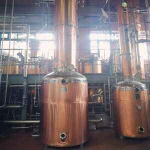 visite degustazioni tour ebike monferrato