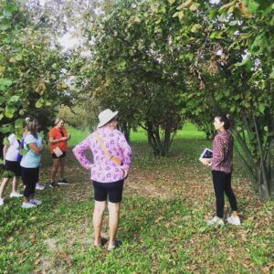 esperienze tour ebike